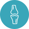 icons8 joint 100