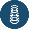 icons8 spinal cord 100